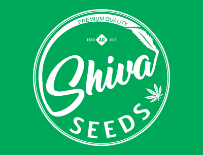 logo shivaseed